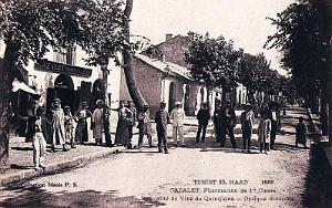 TENIET-EL-HAAD - RUE DE TIARET - 1909